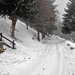 partenza