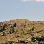 la-tete-des-goilles