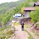 rombiago