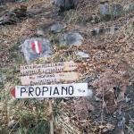 bivio