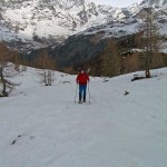 fuori-dal-bosco