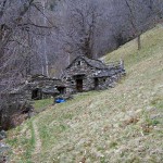 alpe-sarciera