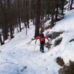 salita-nel-bosco