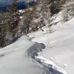 salita-nel-bosco