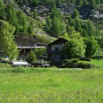 etselei