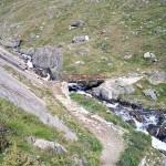 ponticello