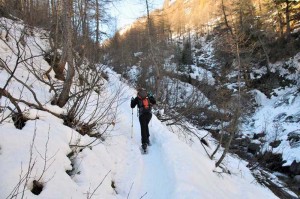 salita-nel-bosco