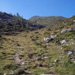 vallettina-erbosa