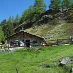 teppes-longues
