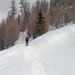 nel-bosco