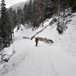 poderale-nel-bosco