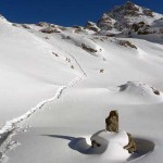 discesa-verso-il-rif-arp