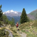 gruppo-della-grivola