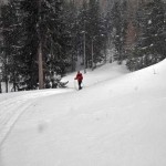 uscendo-dal-bosco