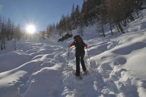 valloncello