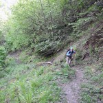 bosco-alla-partenza