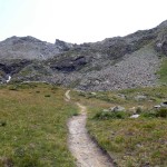 pianetto-fuori-dal-bosco