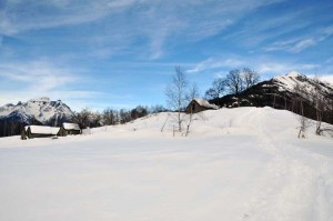 corte bertolini