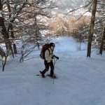 nel bosco sopra cortino