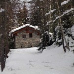 parriod di cognein