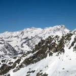 cossarello-in-primo-piano-e-dietro-il-rosa