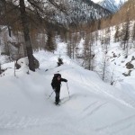 nel-bosco-dopo-il-ponticello