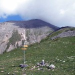 passo di monscera