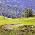 acquedotto in legno