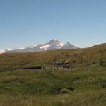 la grivola