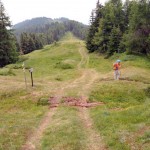 col de bard