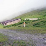 tramail des ors