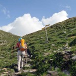 paline sotto il col fetita