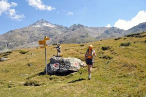 paline quota 2245