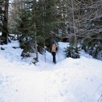 palina dopo la partenza