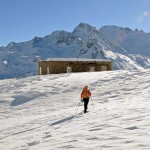 arrivando al ricovero