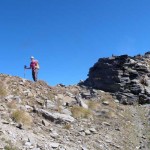 al col manteau