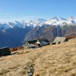 alpe campo