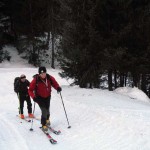 si entra nel bosco