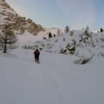 uscita dal bosco