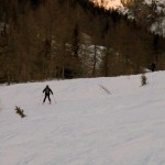 verso il bosco