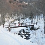 ponticello