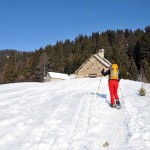 alpe oro