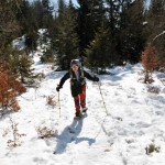 oltre l'alpe oro