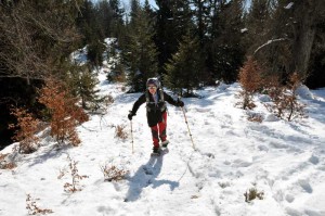 oltre l'alpe oro
