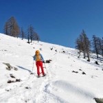 all'uscita del bosco