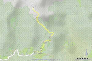 monte ziccher
