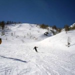 discesa sotto il bosco