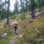 sentiero nel bosco