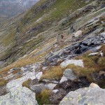traverso