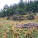 rudere quota 1757